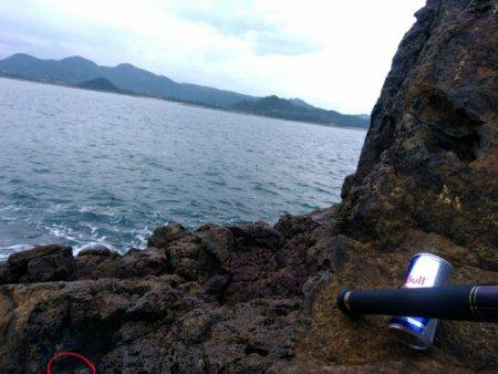 またしてもヒラマサに出会えず