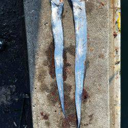 またまた、兵庫突定♪(笑)