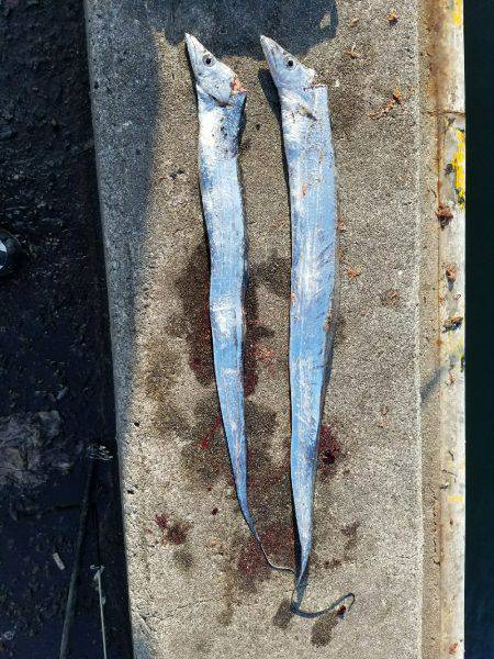 またまた、兵庫突定♪(笑)