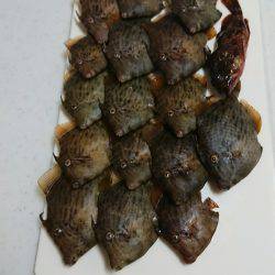 ワッペン サイズ