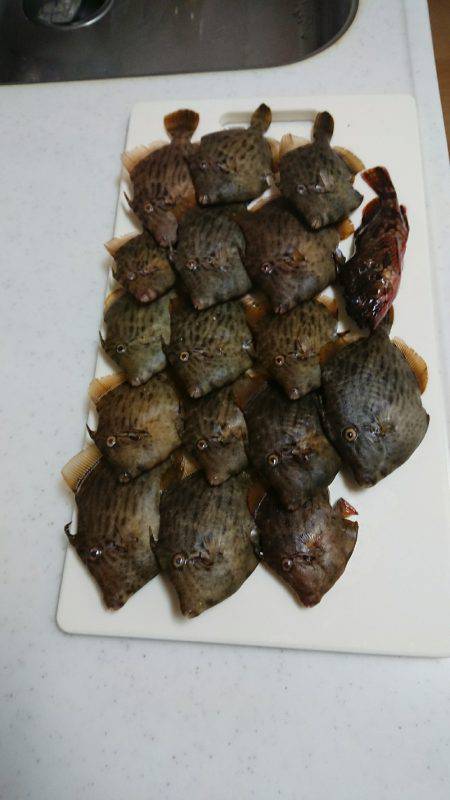 ワッペン サイズ