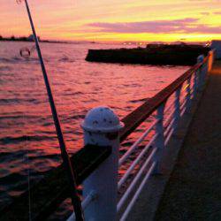 タチウオ調査 そろそろ気配あり