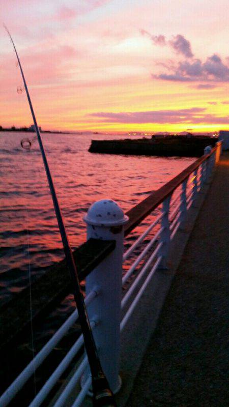 タチウオ調査 そろそろ気配あり