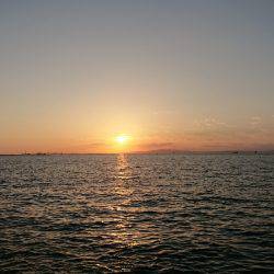 台風後のワインド