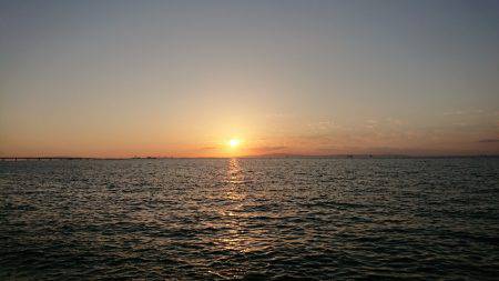 台風後のワインド