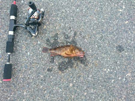 テトラで穴釣り