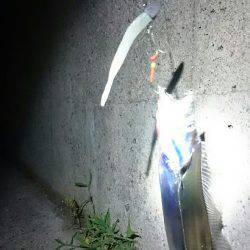 ちょっと刀狩り