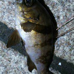 またまた行ってきました！