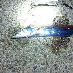 炸裂小太刀狩り‼