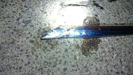 炸裂小太刀狩り‼