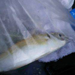 台風が来る前に！