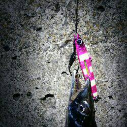 パターンを探して‼