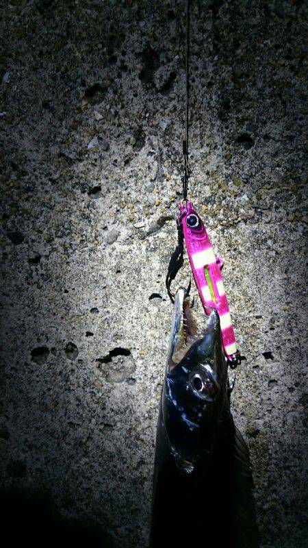 パターンを探して‼