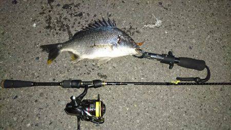 久々のキビレゲーム