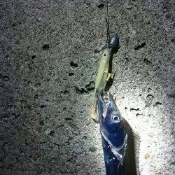 満員御礼 小太刀狩り