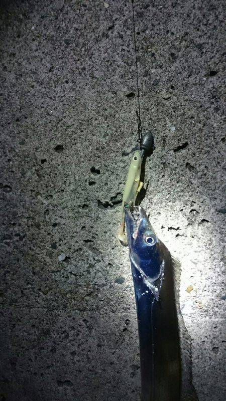 満員御礼 小太刀狩り