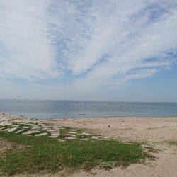 魚探には、お魚マークの大行列なのに！