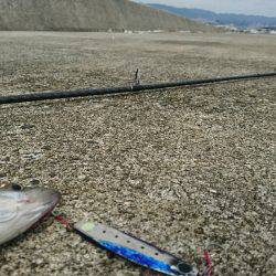 西宮ケーソン岸ジグミニシー