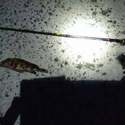 場所取り合戦敗北