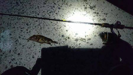 場所取り合戦敗北