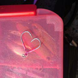 釣りたいけど釣れない❗