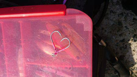 釣りたいけど釣れない❗