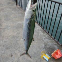 浮気はしません!