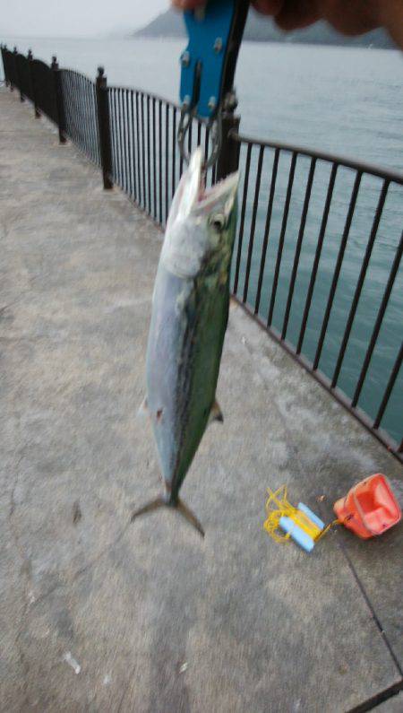 浮気はしません!