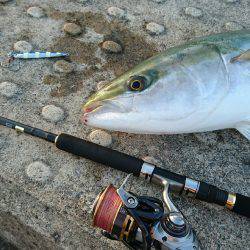 まさかの大物！！