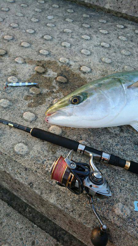 まさかの大物！！