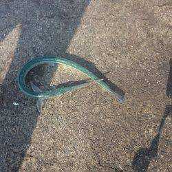 ミッション完了