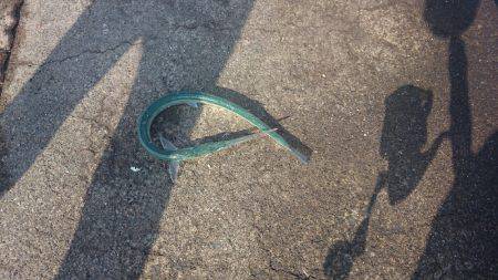 ミッション完了