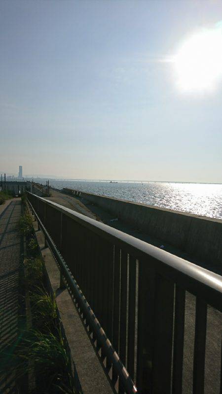 短時間エギング