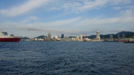 ハマチがヒット