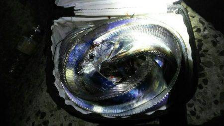 タッチー＼(^o^)／