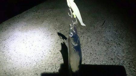 太刀魚ワインド