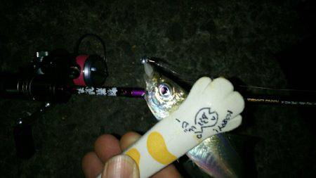 ちょっとテクニカルな豆アジでした(笑)