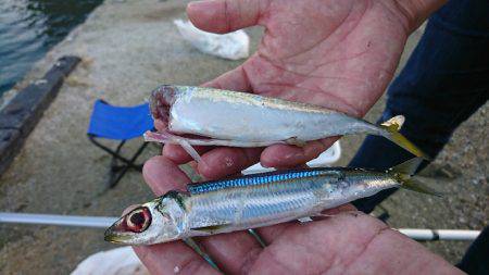 子供とファミリーフィッシング♪