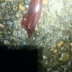 やはり雨の日は人が少ない