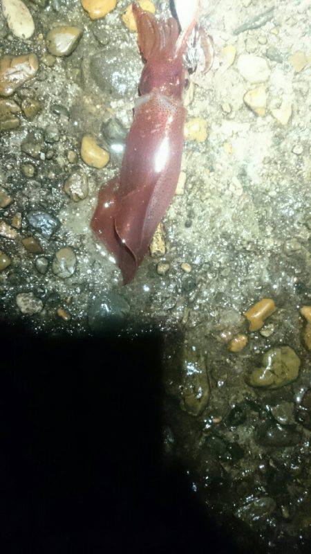 やはり雨の日は人が少ない