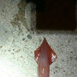 台風前に何とか。