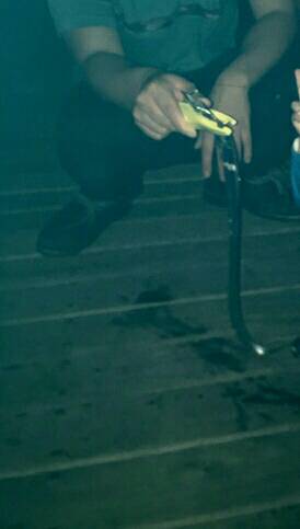 コスモスクエアにてカゴ釣り、太刀魚釣り