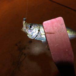 どうなってしまった。