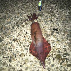 風が強くて難しい