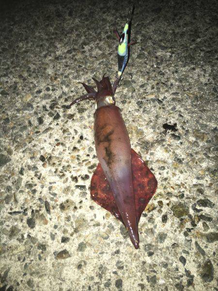 風が強くて難しい