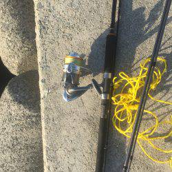 爆風爆波(^_^;)だけど入れパク( ^ω^ )