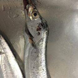 マリンピア沖洲でてんや