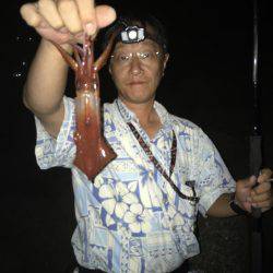 ケンサキイカゲーム♪