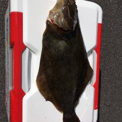 ショアジギでまさか…