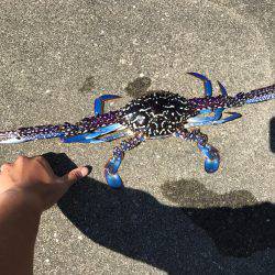 ULSJ！のはずが…